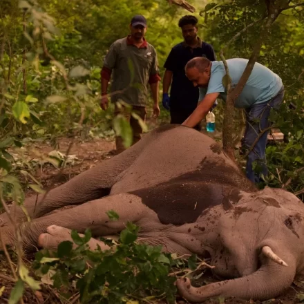 IMG-20261031-WA0550